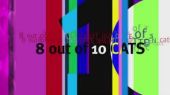 8 out of 10 cats – Sezon 19