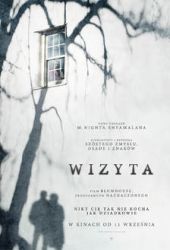 Wizyta