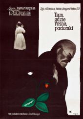 Tam, gdzie rosną poziomki