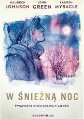W śnieżną noc