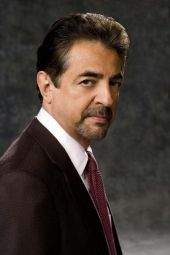 Joe Mantegna image