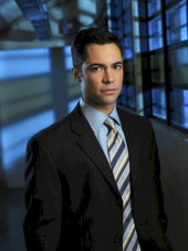 Danny Pino image