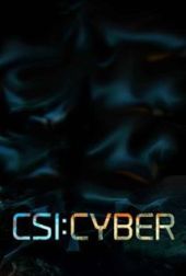 C.S.I.: Cyber – Sezon 1