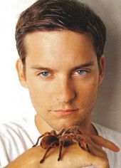 Tobey Maguire image