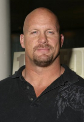 Steve Austin image