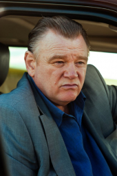 Brendan Gleeson image