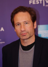 David Duchovny image