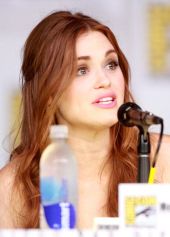 Holland Roden image