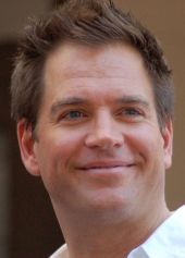 Michael Weatherly image