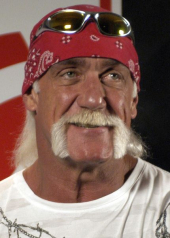 Hulk Hogan image