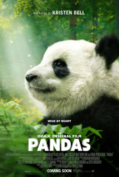 Pandy 3D