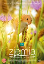 Ziemia. Niezwykły dzień z życia planety