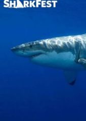 SharkFest – Sezon 2