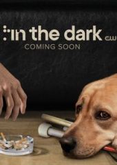 In the Dark