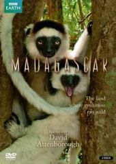 Madagascar – Sezon 1