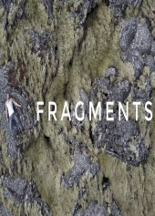 Fragments