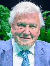 David Attenborough image