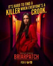 Briarpatch – Sezon 1
