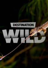 Kierunek Wild Sezon - 8