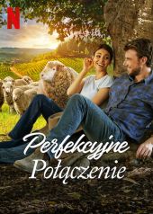 Perfekcyjne połączenie