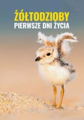 Żółtodzioby. Pierwsze dni życia