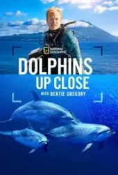 Bertie Gregory: bliskie spotkanie z delfinami