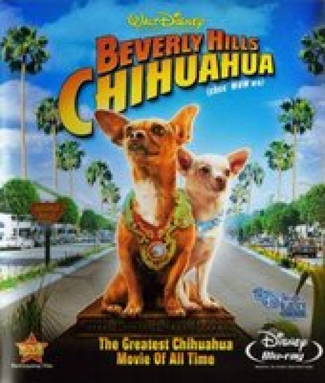 Cziłała z Beverly Hills (2008) - naEKRANIE.pl