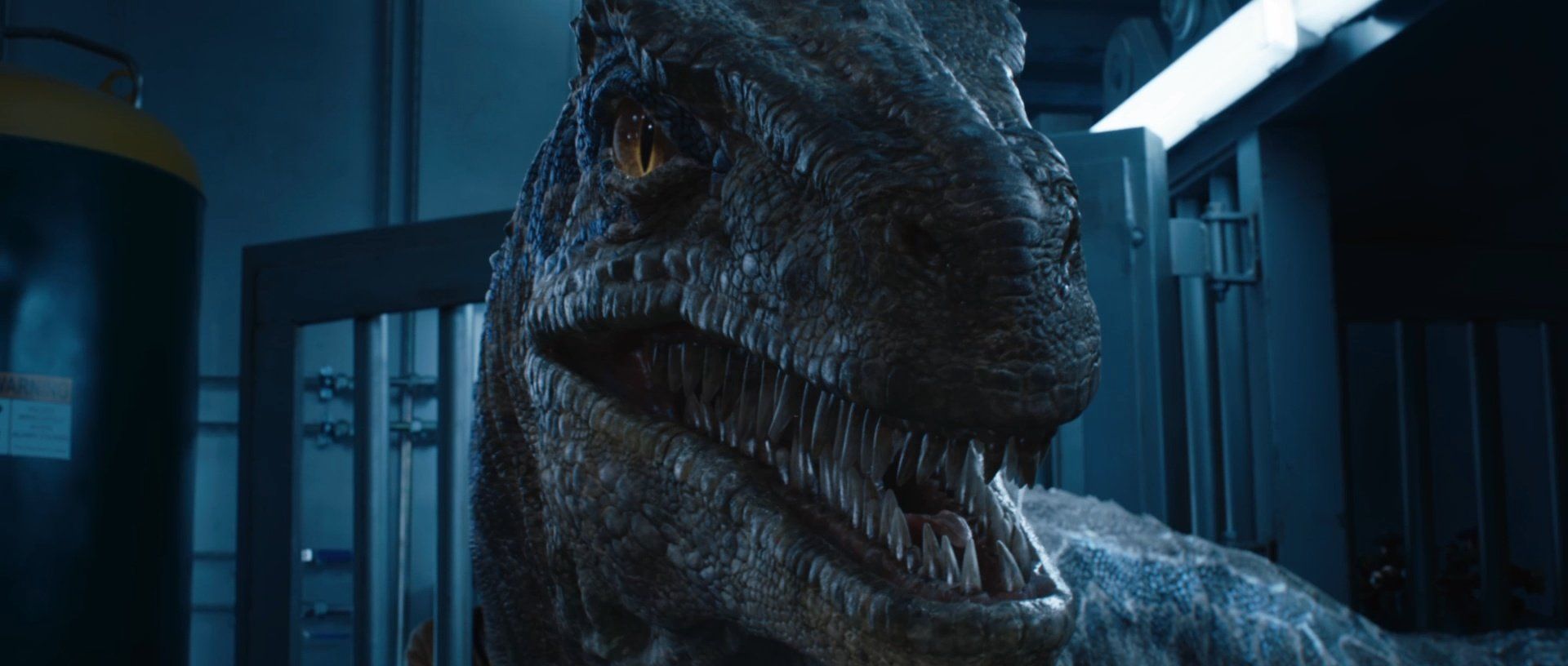 Jurassic World Upadłe Królestwo Premiera W Polsce naekranie.pl