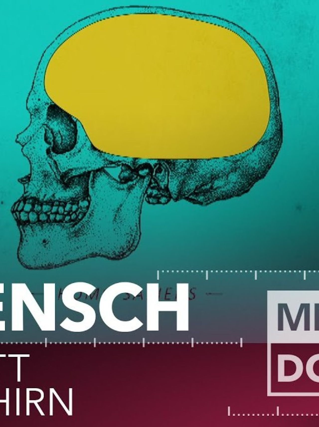 PL - Ludzkość z przypadku - Gen, który stworzył mózg człowieka (2020) Dokument CANAL+