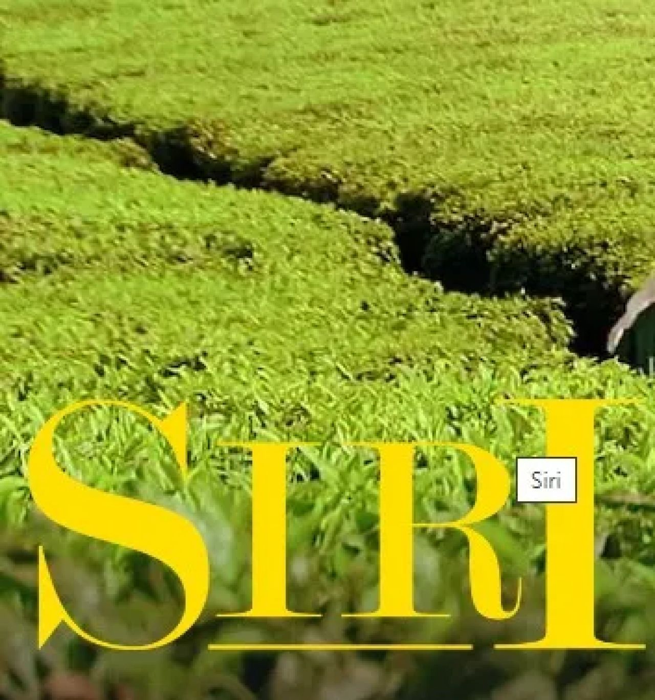 Siri Serial 2009 NaEKRANIE pl