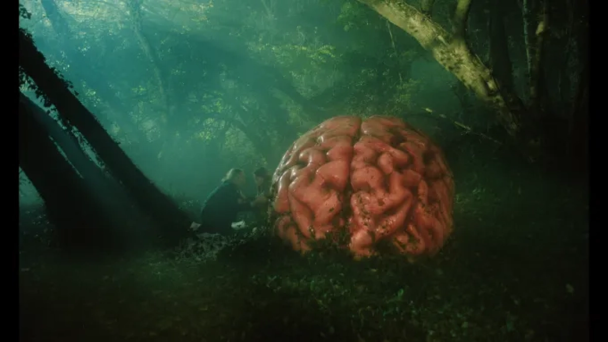 Very strange trailer and a must watch. Starring Cate Blanchett and The Big Brain