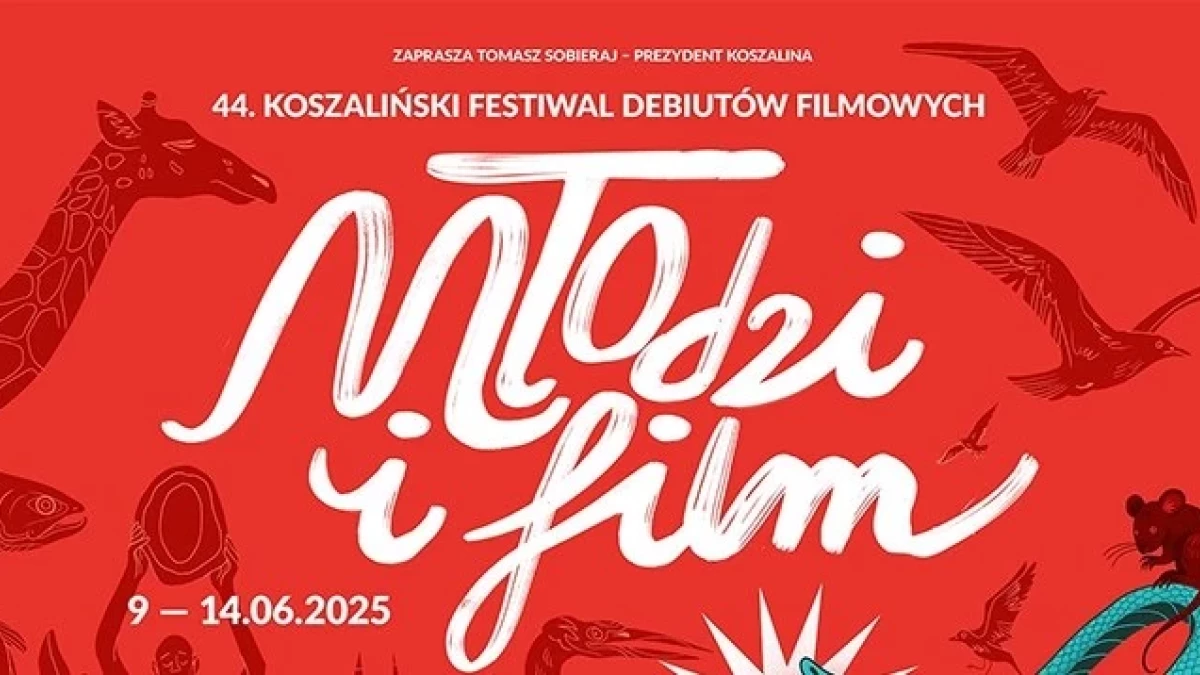 3 dzień 44. Festiwalu Młodzi i Film w Koszalinie. Co będzie się działo?