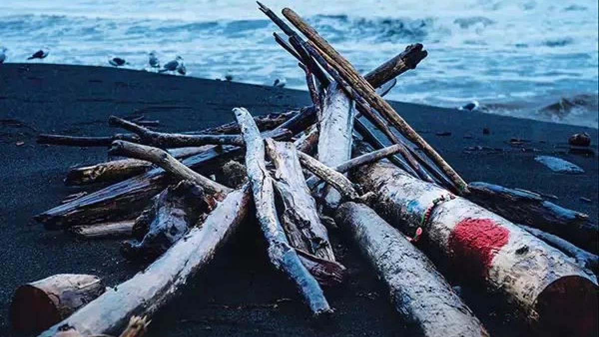 Sezonowa dziewczyna - recenzja książki