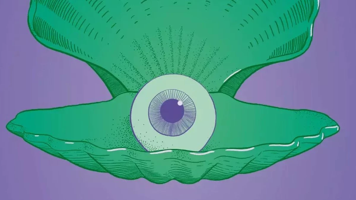 Ornament - recenzja książki