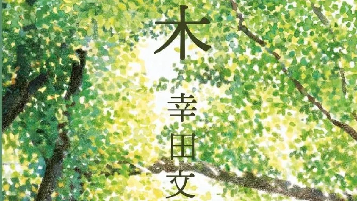 Drzewa - recenzja książki