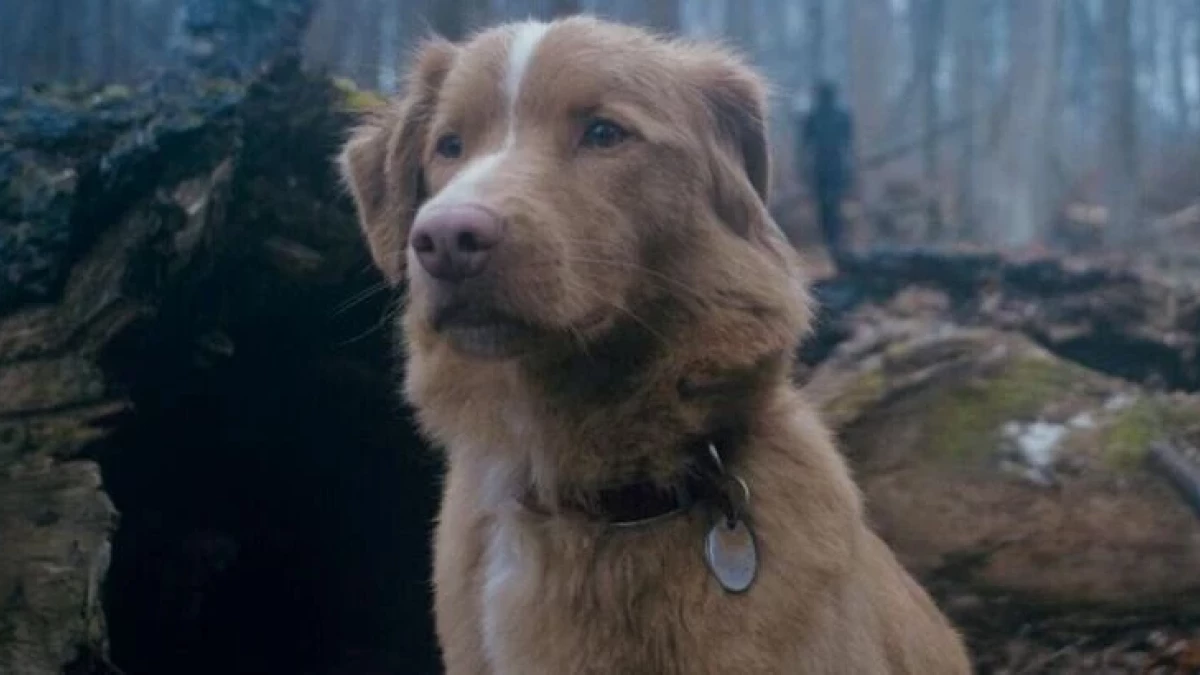 Nietypowi bohaterowie współczesnych horrorów - takich rozwiązań się nie spodziewaliśmy