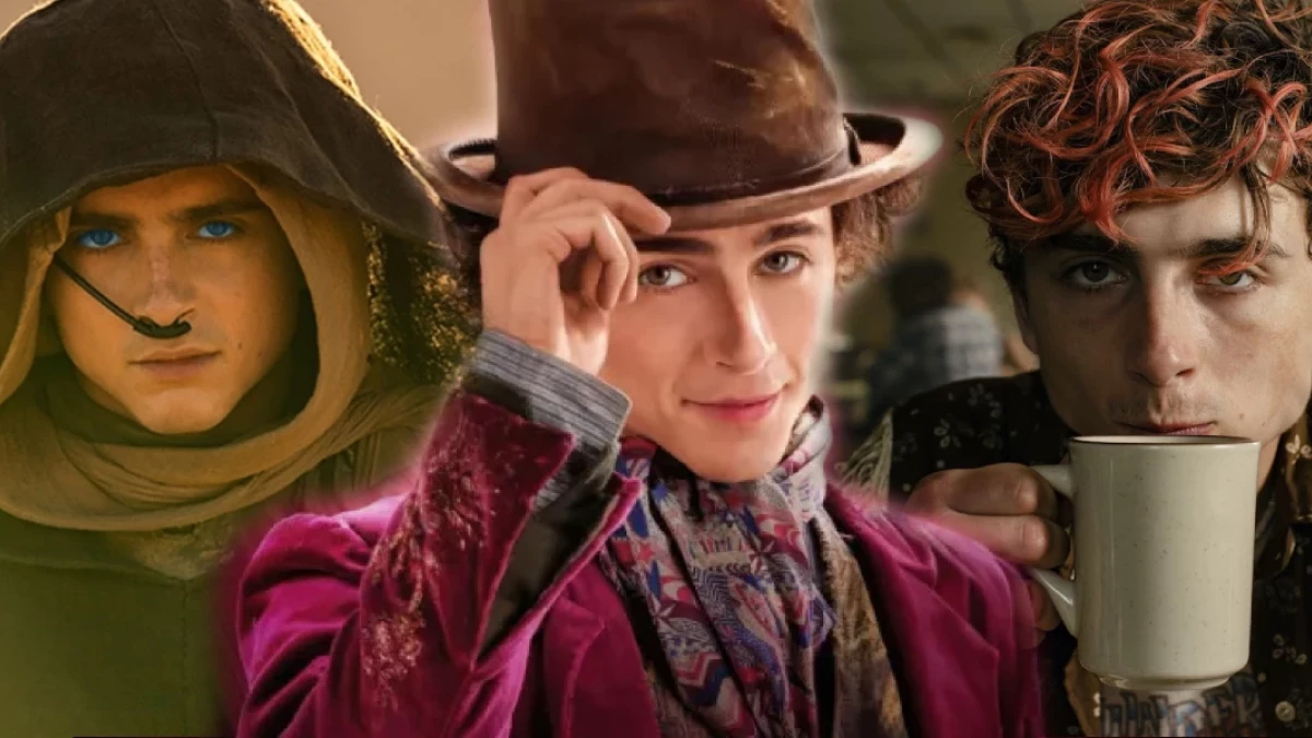 Timothée Chalamet - ranking najlepszych filmów. Diuna dopiero na 5. miejscu; 1. to perełka