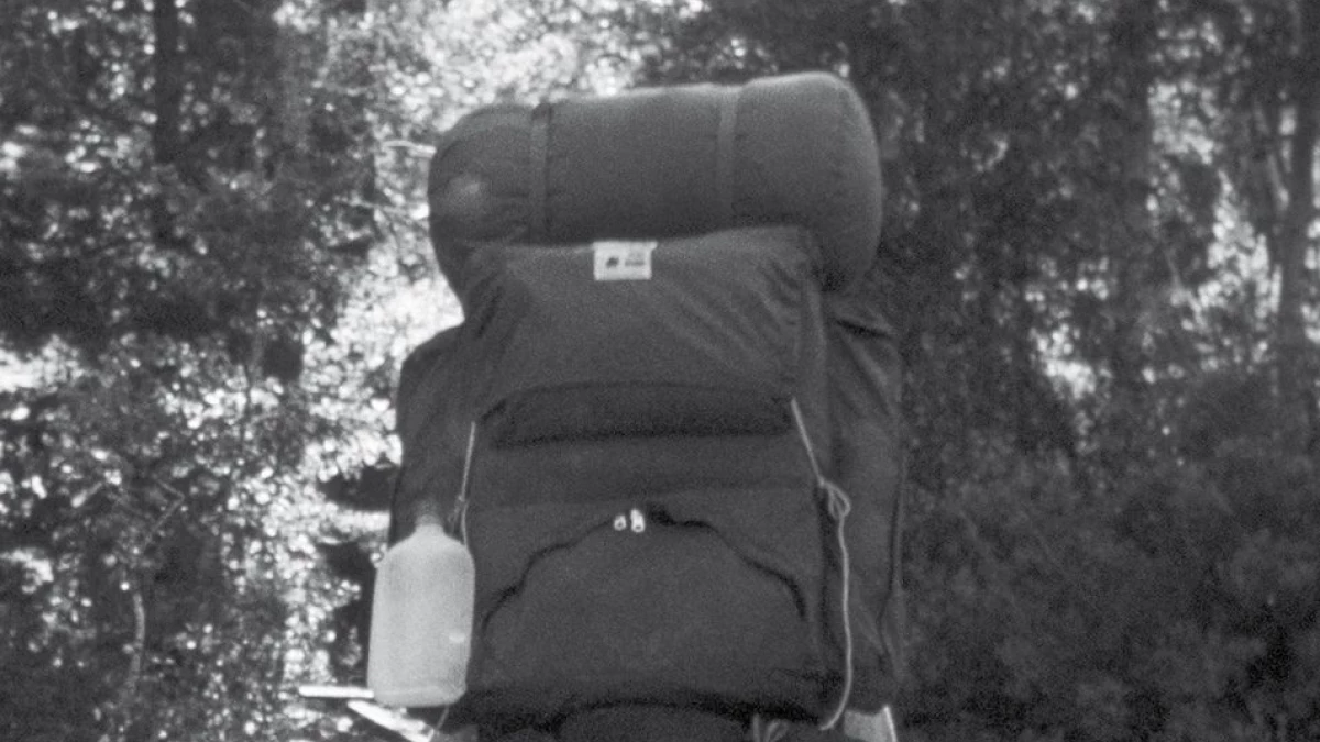 Urwany ślad. Zaginieni w amerykańskich parkach narodowych - recenzja książki