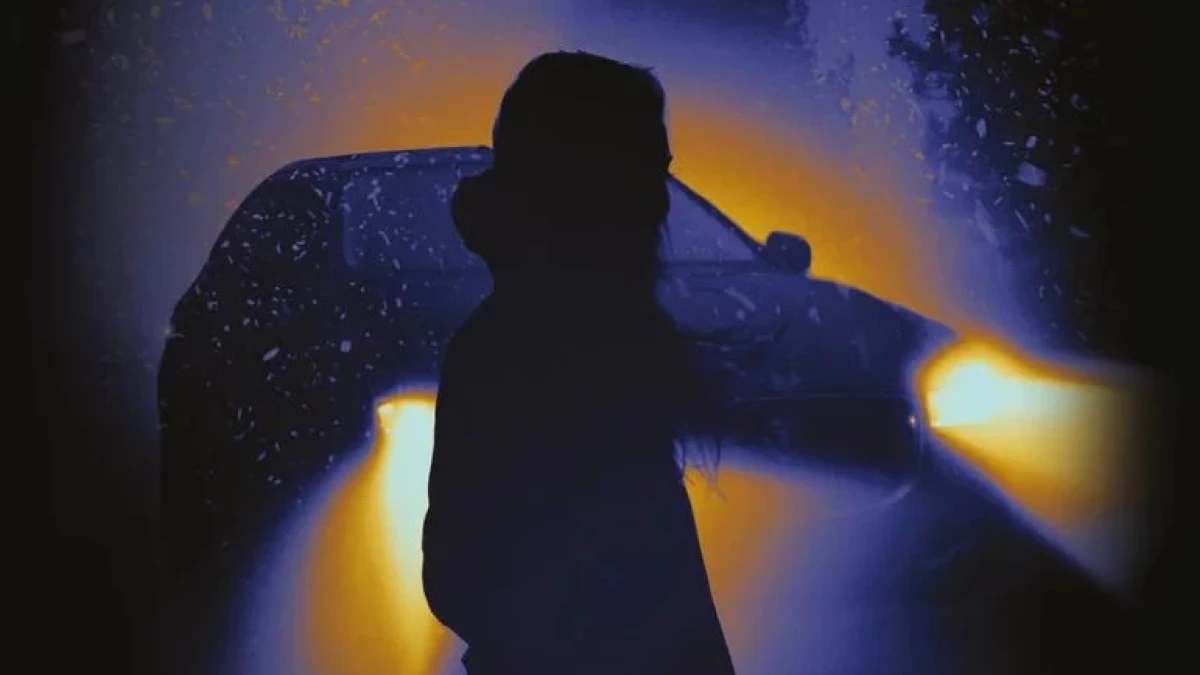 Wypadek - recenzja książki