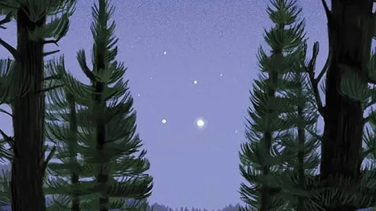 Netflix zamawia serial kryminalny na podstawie książki: „GDY SIĘ ZGUBISZ, USIĄDŹ I KRZYCZ”