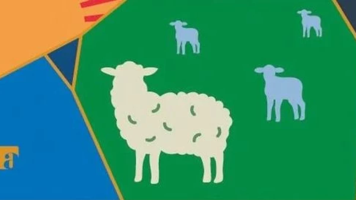 Huryska - recenzja książki