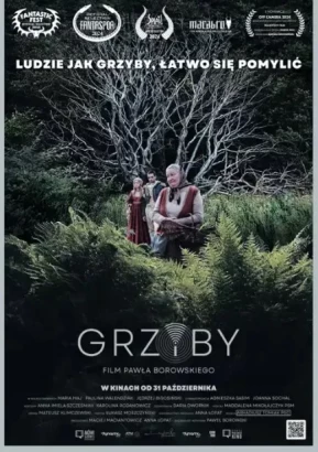 Grzyby