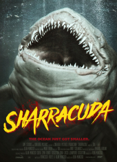 Sharracuda