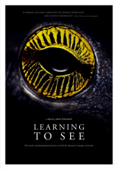 Learning to See: The World of Insects