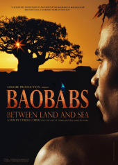 Baobabs between Land and Sea