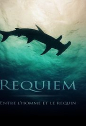 Requiem: entre l’homme et le requin