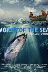 Voices of the Sea: A Cuban Odyssey