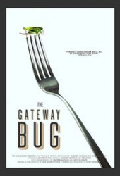 The Gateway Bug