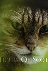 The Tigers of Scotland