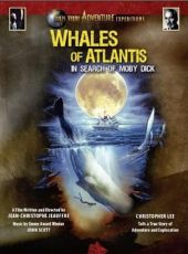 Les baleines de l’Atlantide